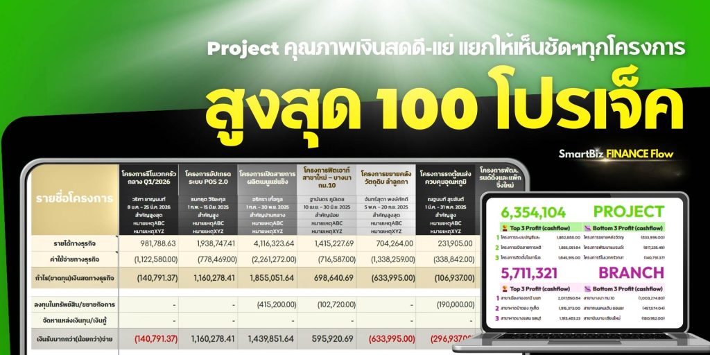 SmartBiz FinanceFlow เทมเพลตบริหารการเงินและกระแสเงินสด - 6
